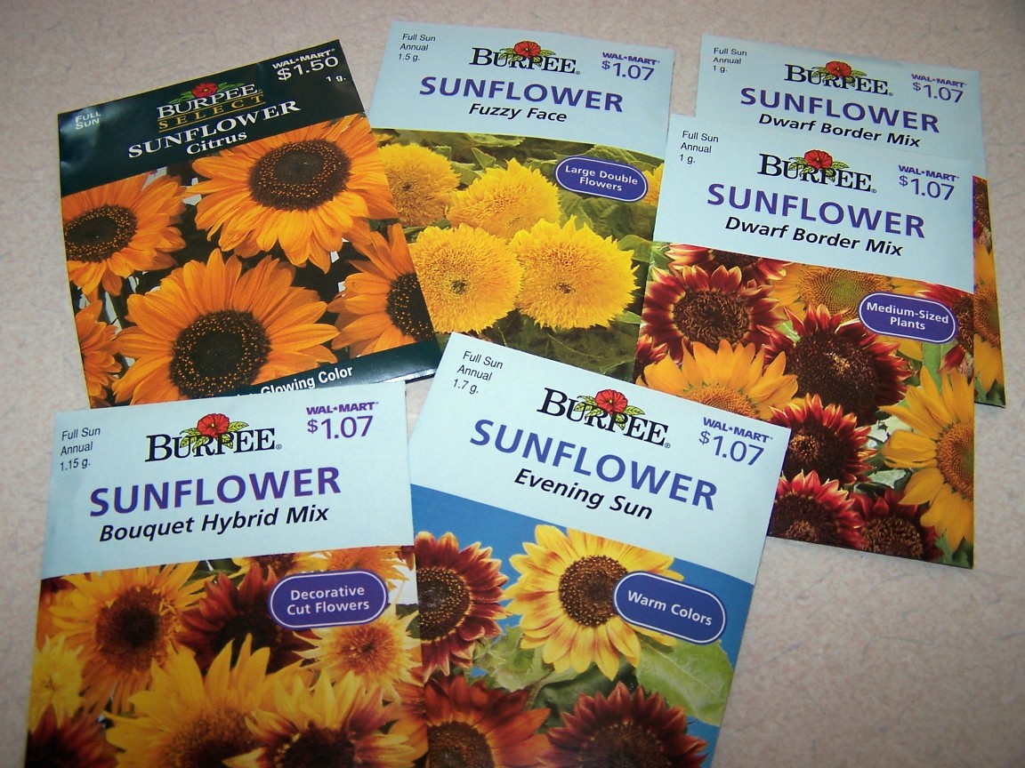[sunflower+seeds+2007.jpg]