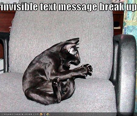[funny-pictures-black-cat-invisible-text-message-breakup.jpg]