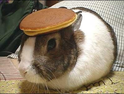 [bunny_pancake.jpg]
