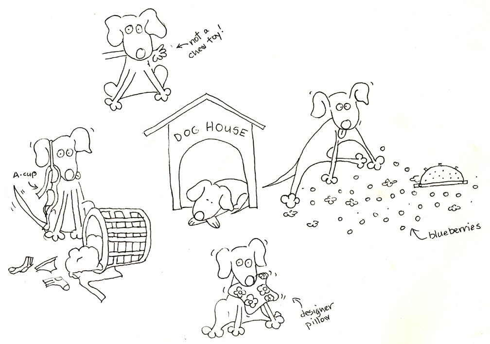 [doghouse.jpg]