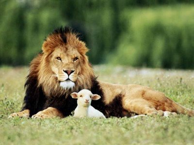 [lion+and+lamb.jpg]