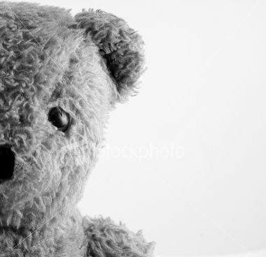 [ist2_4176174_old_teddy_bear.jpg]