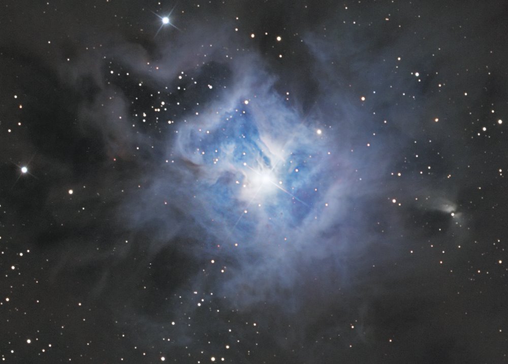 [NGC7023,+Iris+closeup.jpg]
