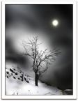 [winter+moon.jpg]