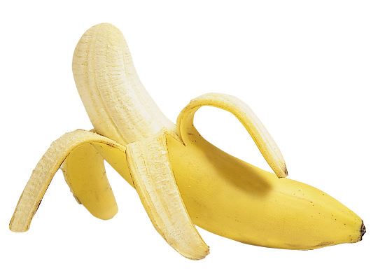 [bananas1.jpg]