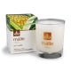 [80_coconut_pineapple_soy_exotic_candle.jpg]