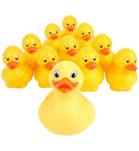 [yellow+ducks.jpg]