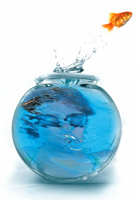 [fishbowl.jpg]
