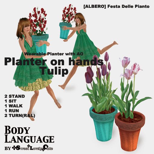 [Planter+on+hands+Tulip.jpg]