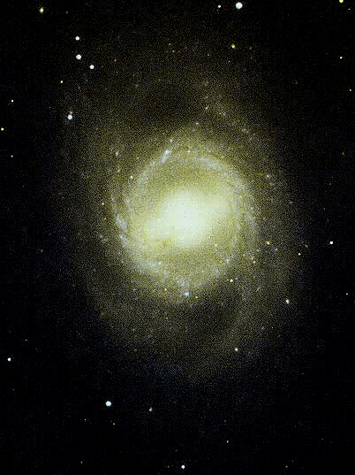 [NGC3351.GIF]
