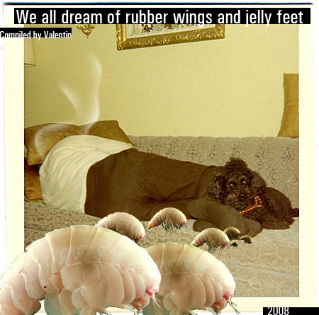 [We+All+Dream+Of+Rubber+Wings+And+Jelly+Feet+Cover.jpg]