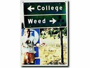 [weed+or+college.jpg]
