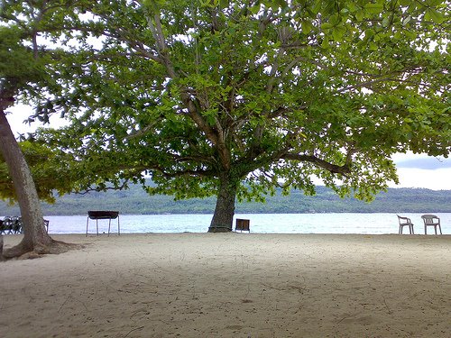 [beautiful+tree+of+isla+reta.jpg]