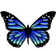 [Blue_butterfly_2.gif]