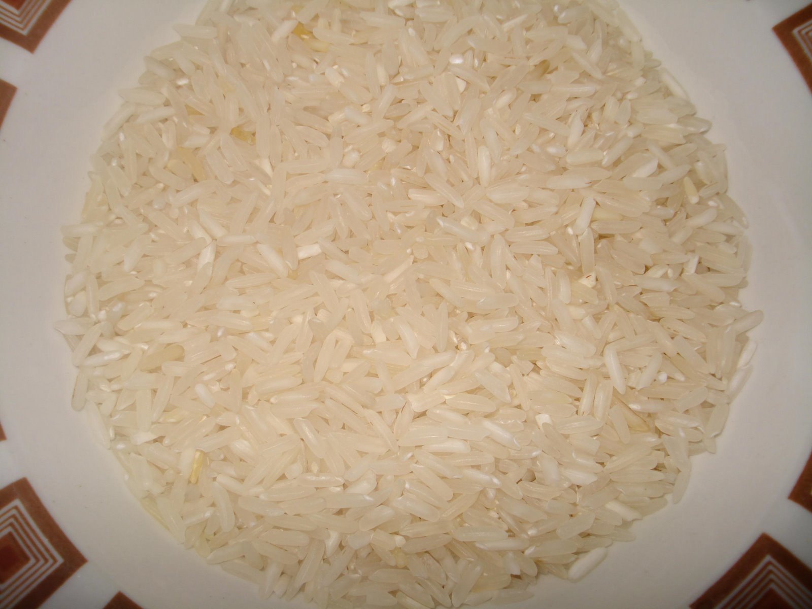 [white+rice.JPG]