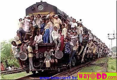 [funny-pictures-full-train-5Ts.jpg]