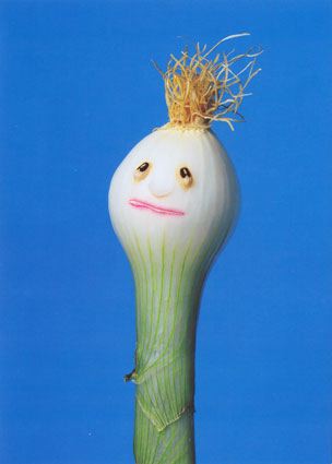 [food-art-onion.jpg]