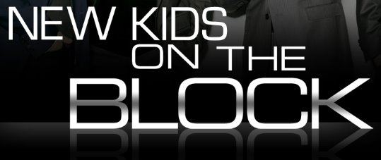 New Kids On The Block 2008 logo