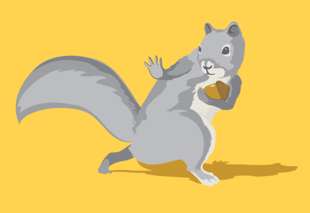 Threadless - All-Conference Squirrel by Brock Davis