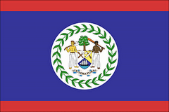 The Belizean Flag