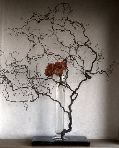 [ikebana+rose+and+branch++by+baiko.jpg]
