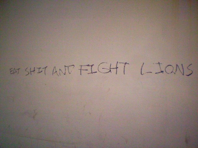 [graffiti+(fight+lions).jpg]