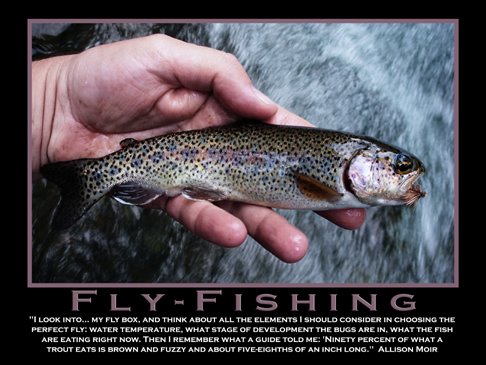 [Flyfishing+Poster+4x6.jpg]
