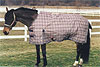 [Horse+Blanket.jpg]