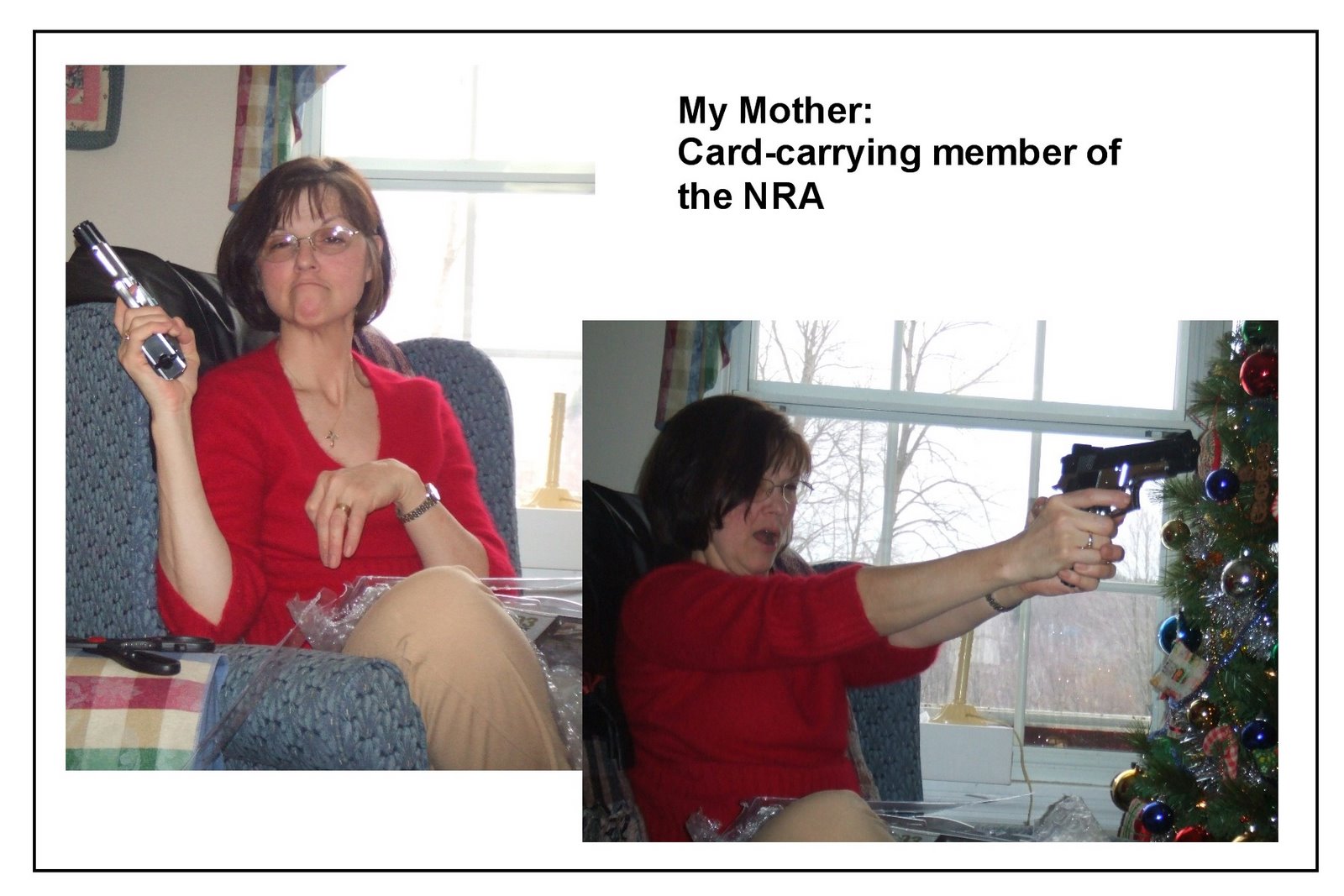 [Mom+Guns.jpg]