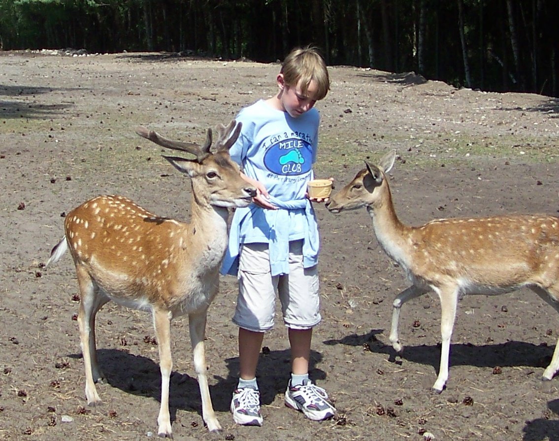 [050+Feeding+the+Deer.jpg]
