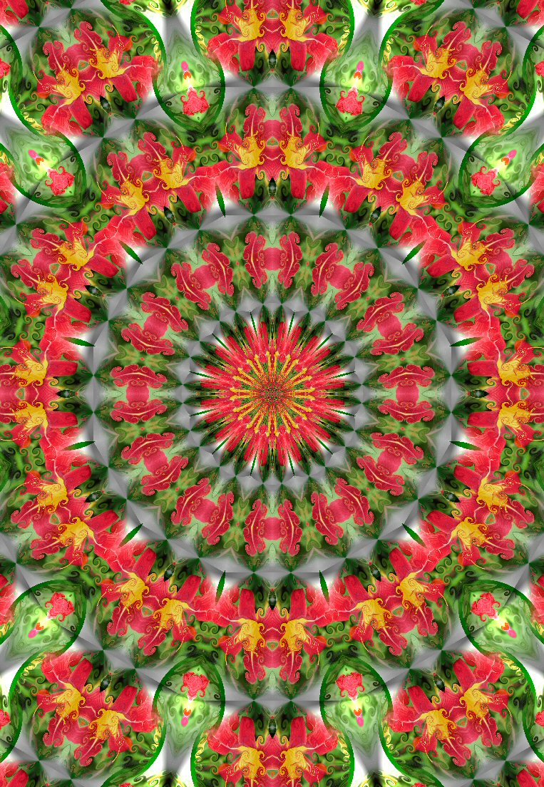 [Rode+bloem+kaleidoscoop+8.jpg]
