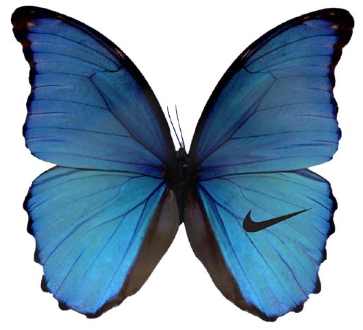 [butterfly_logo_by_koert_van_mensvoort.jpg]