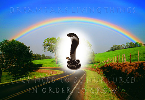 [Rainbow-Cobra-Pipe-b.jpg]