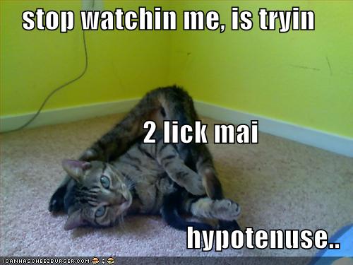 [funny-pictures-cat-licks-his-hypotenuse.jpg]