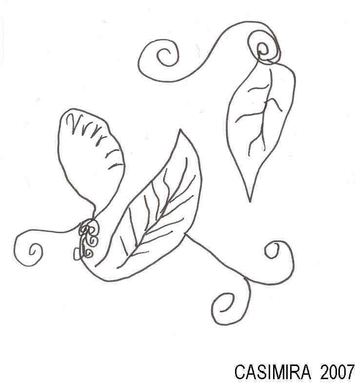 [CASIMIRA+leaves.jpg]