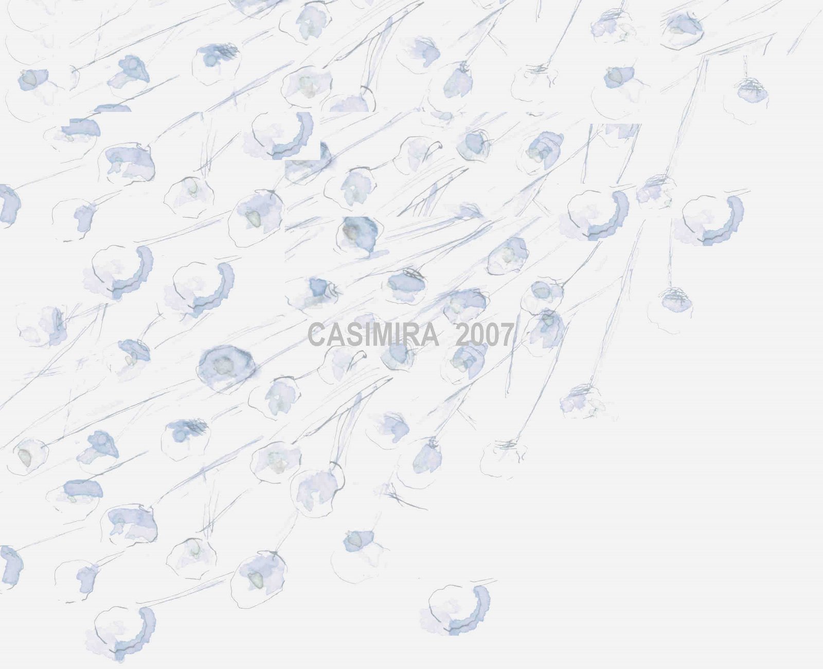 [CASIMIRA+rain.jpg]