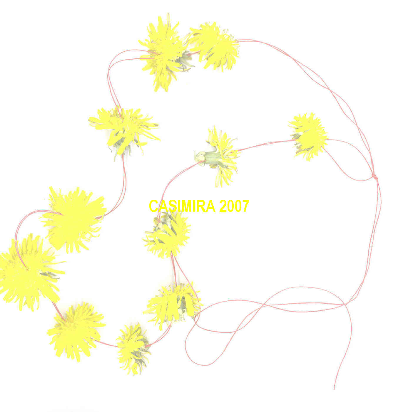 [garland+CASIMIRA.jpg]