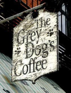 [Grey+Dog.jpg]