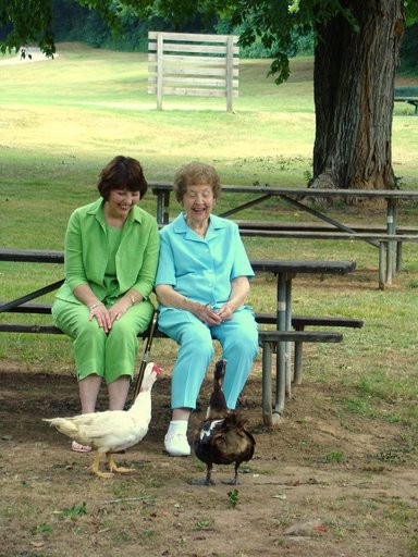 [mom+and+grandma+ducks]