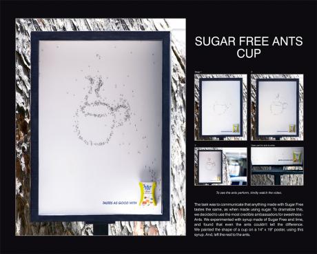 [sugar_free_ants_-_cup.preview.jpg]