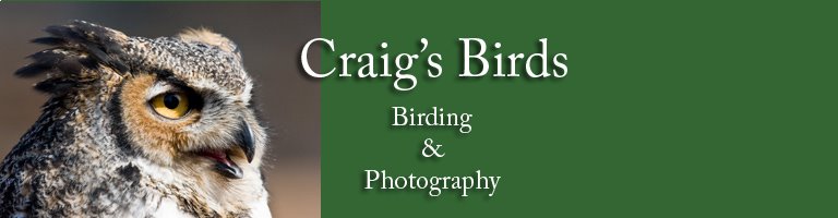 Craig's Birds