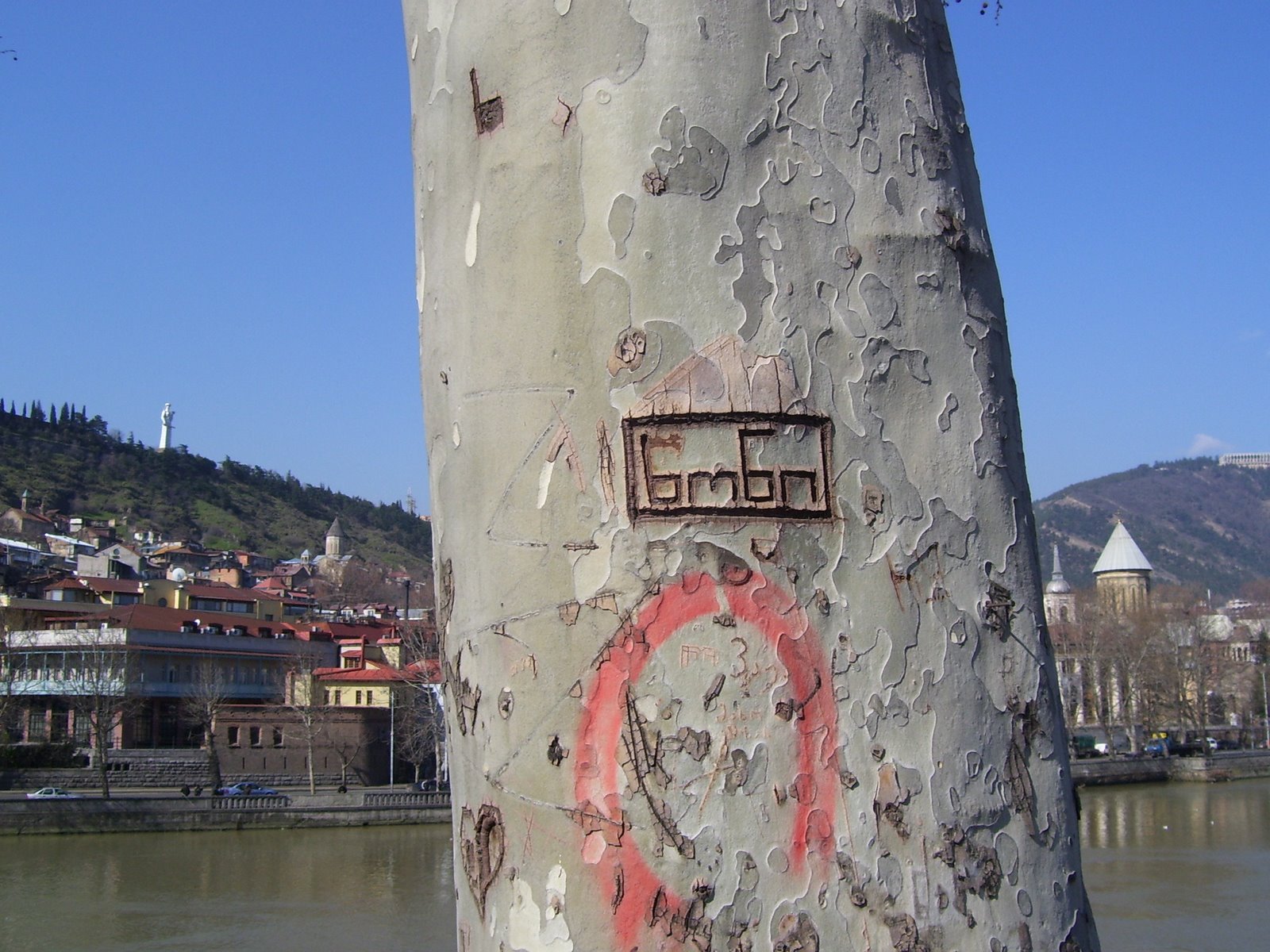 [tbl+graffiti+on+tree.JPG]