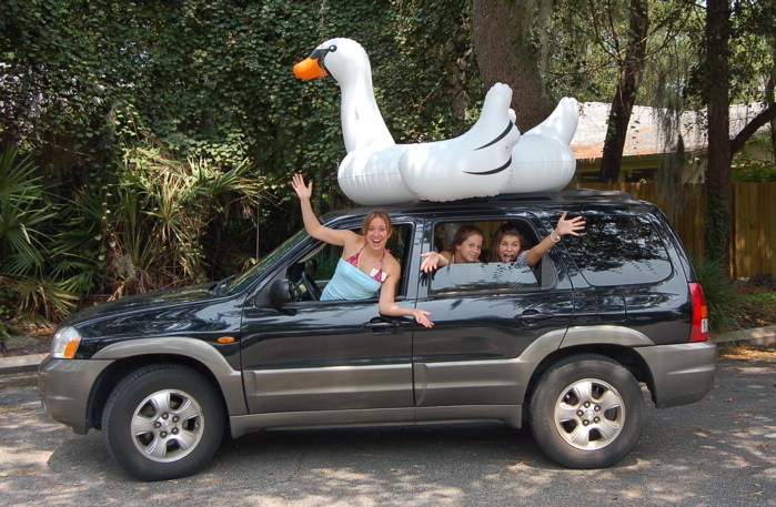 [Swan+on+car.jpg]