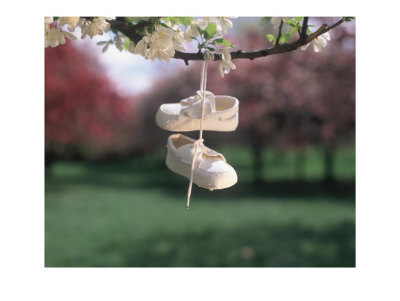 [345651a~Baby-Shoes-Hanging-from-Tree-Branch-Posters.jpg]