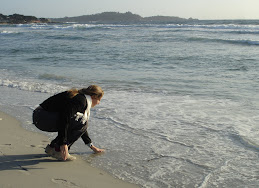 Mars 2008 : Carmel Beach