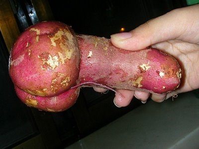 [potato-cock1.jpeg]
