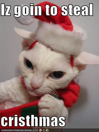[funny-pictures-cat-steals-christmas.jpg]