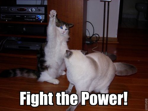 [fight+the+power.jpg]