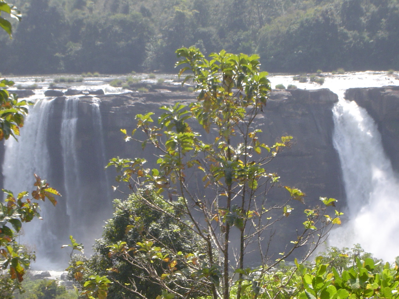 [athirappilly1.JPG]