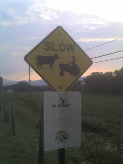 [13+July+Cow+Sign.jpg]